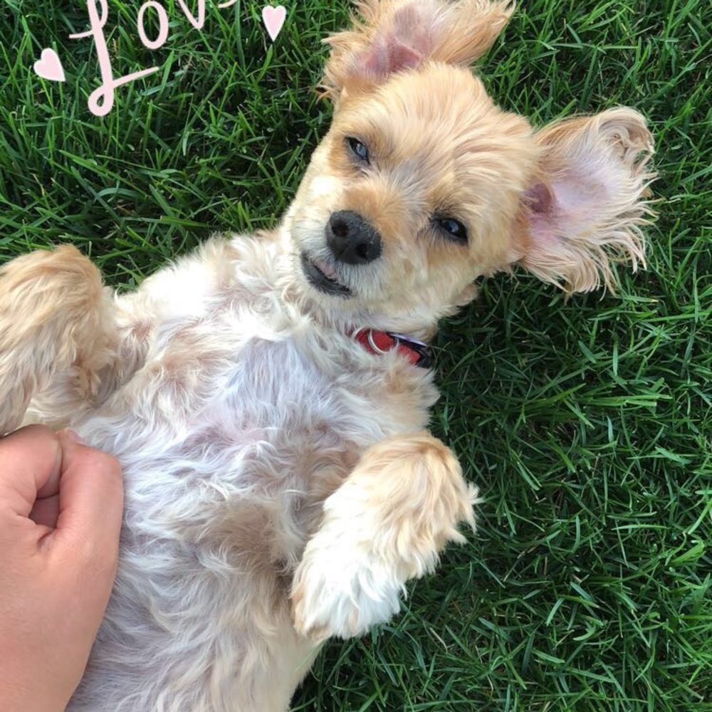 Meet your Posher, Nicole